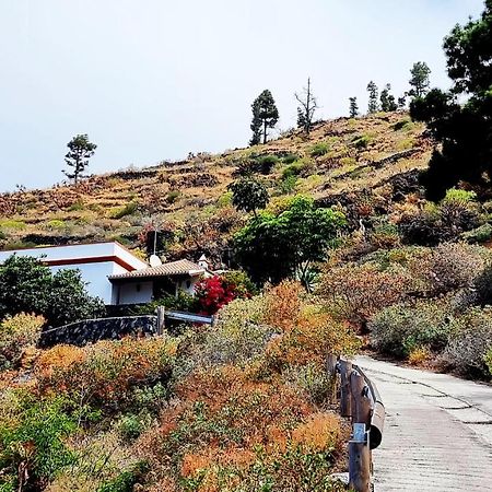 El Nispero Villa Fuencaliente de la Palma Kültér fotó