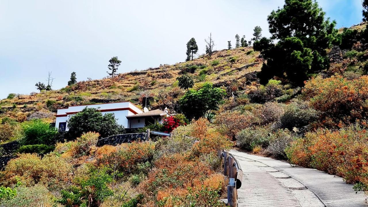 El Nispero Villa Fuencaliente de la Palma Kültér fotó